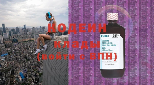 стаф Горняк