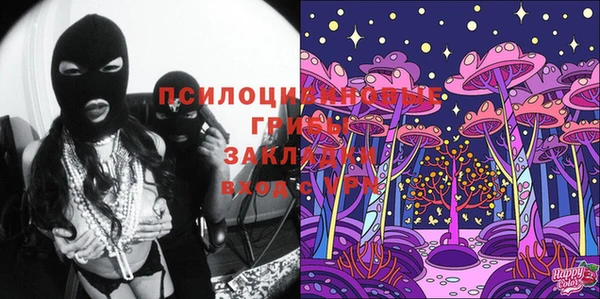 соль ск Вязьма