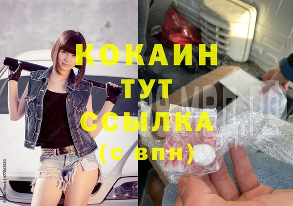 стаф Горняк