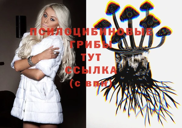 стаф Горняк